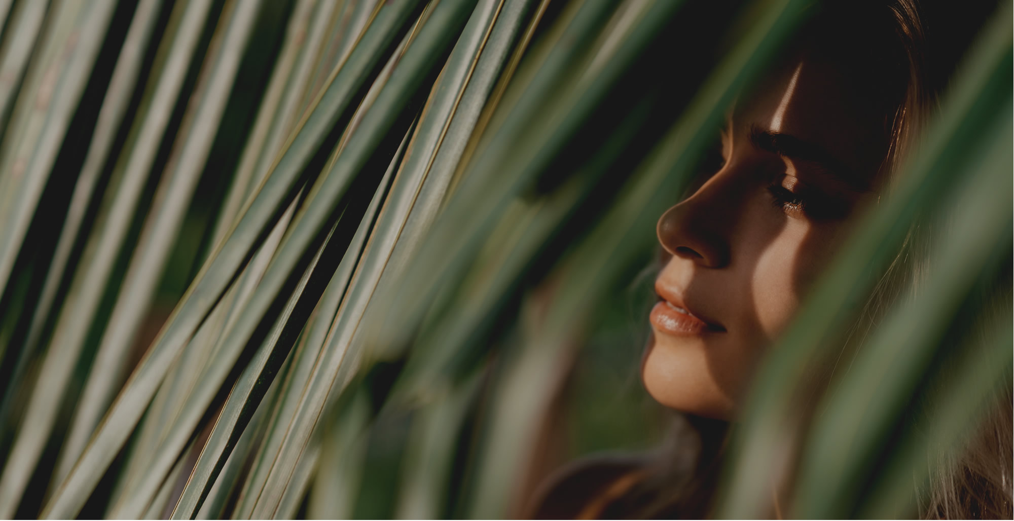 Scarless Rhinoplasty